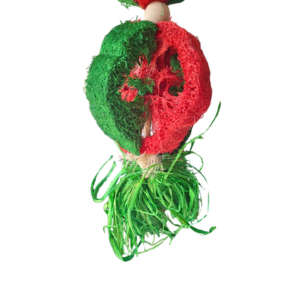 Christmas Loofa Chew