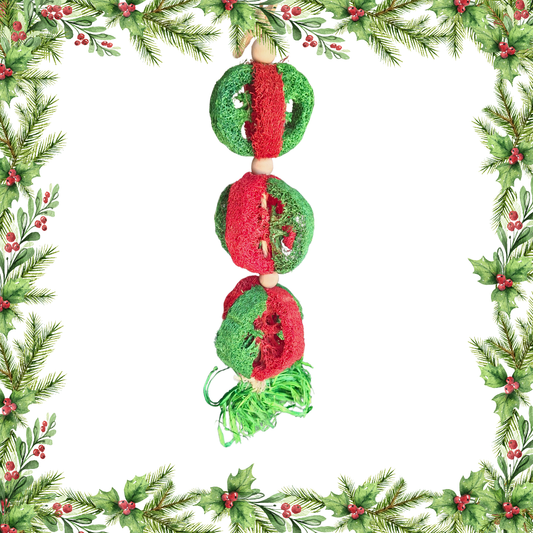 Christmas Loofa Chew