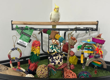 Small Parrot Ripper Box