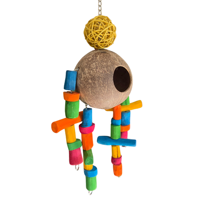 Coco Robot Forager
