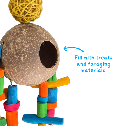 Coco Robot Forager
