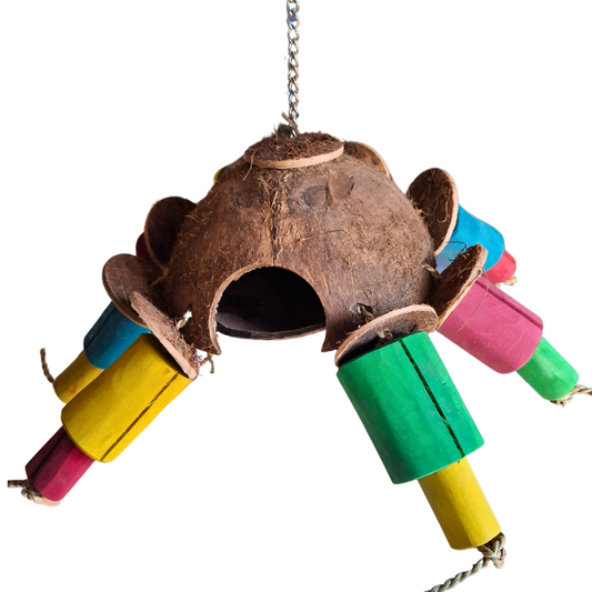 Coco Spider Forager
