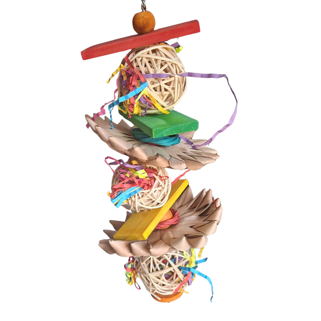 Palm Munch and Crunch