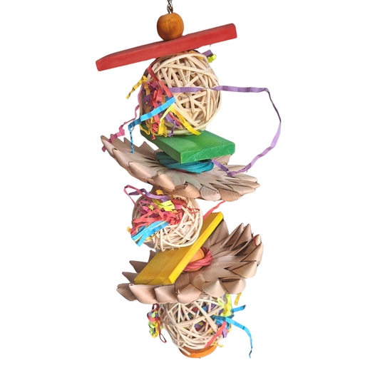 Palm Munch and Crunch