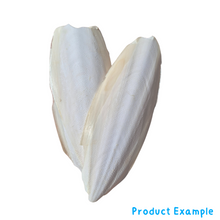 Breeders Delight Natural Cuttlebone