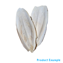 Breeders Delight Natural Cuttlebone