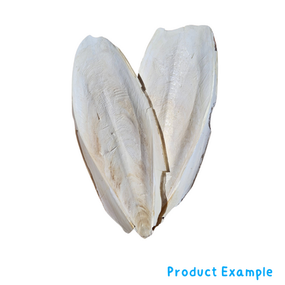 Breeders Delight Cuttlebone