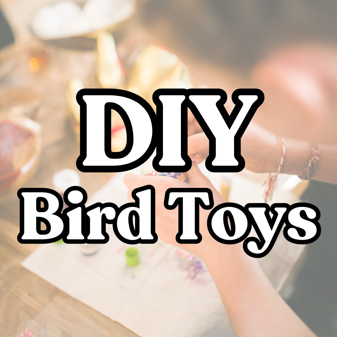 DIY Bird Toys