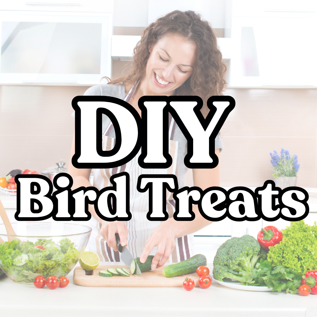 DIY Bird Treats