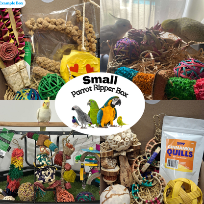 Small Parrot Ripper Box