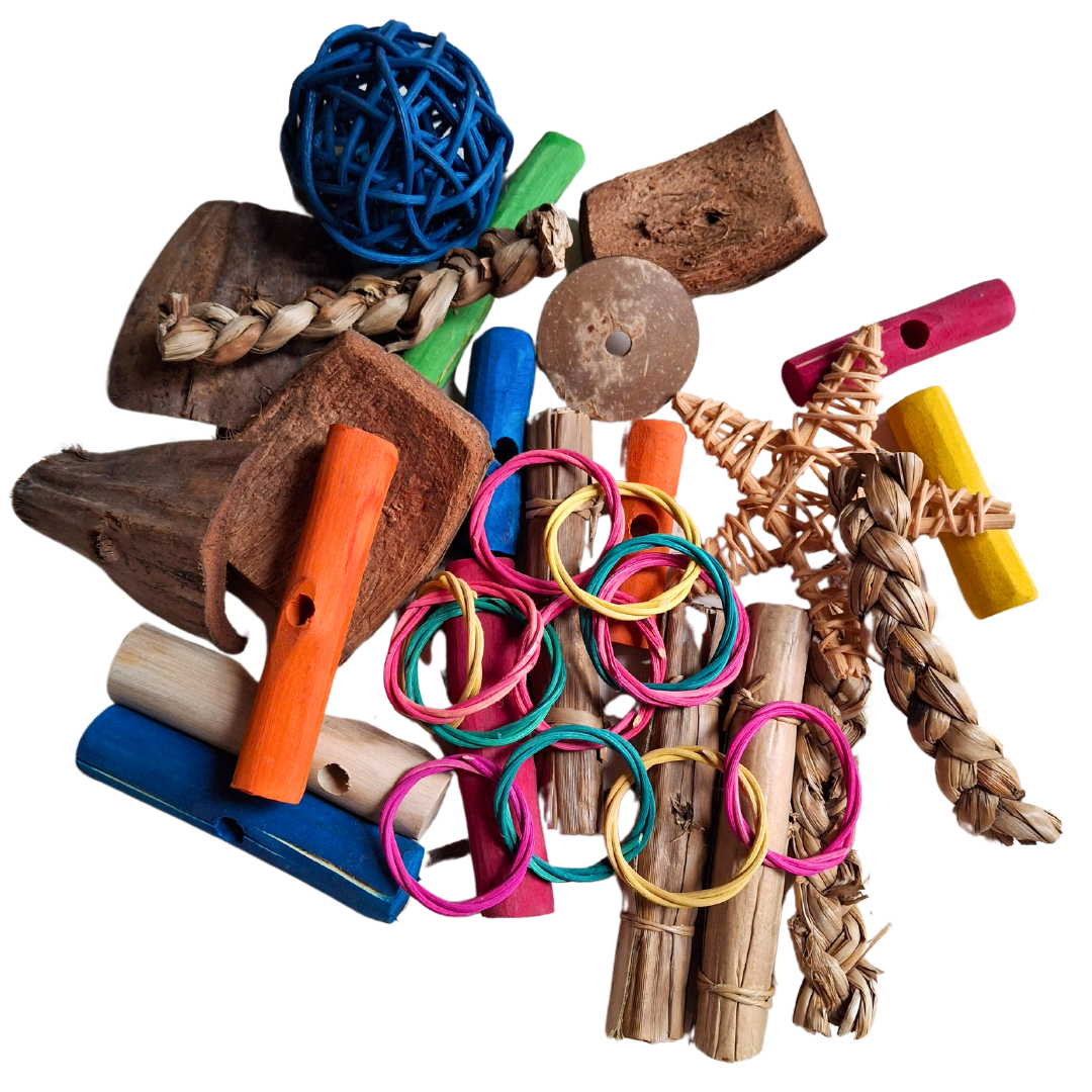 Forage Fun Pack