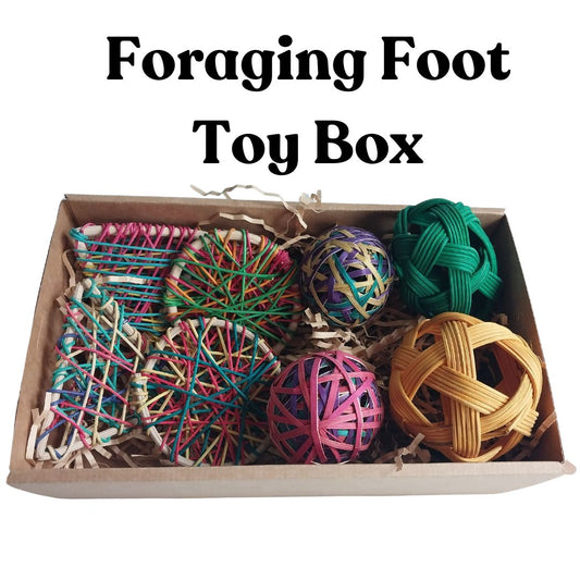 Foraging Foot Toy Box (Save $3)