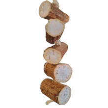 Hanging Sunflower Chew