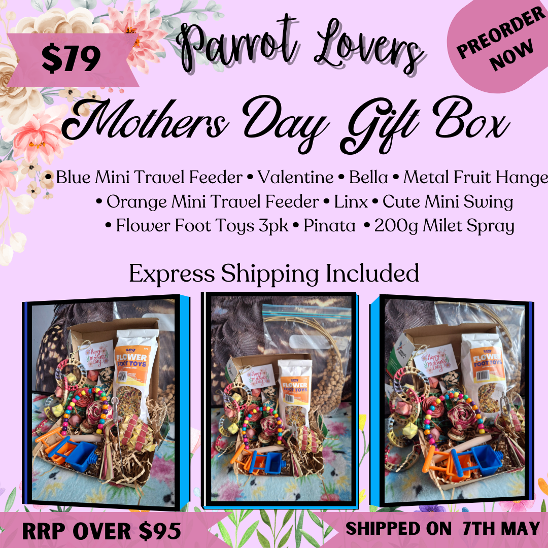 Mothers Day Gift Box For Parrot Lovers