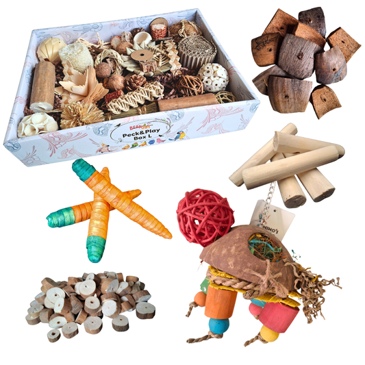 Ho Ho Ho! Let’s Forage Pack