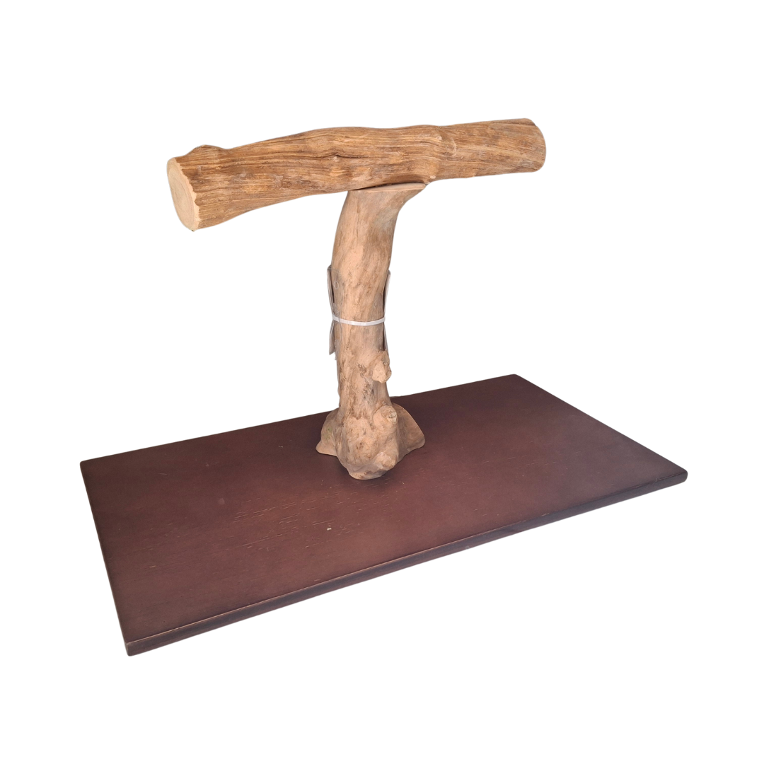 Java & Liana Parrot T Stand - 135