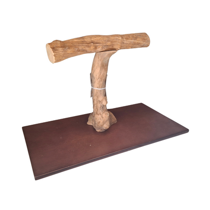 Java & Liana Parrot T Stand - 135