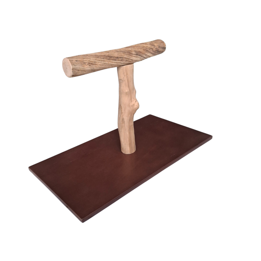 Java & Liana Parrot T Stand - 117
