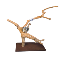 Java Tabletop Parrot Play Gym - 847