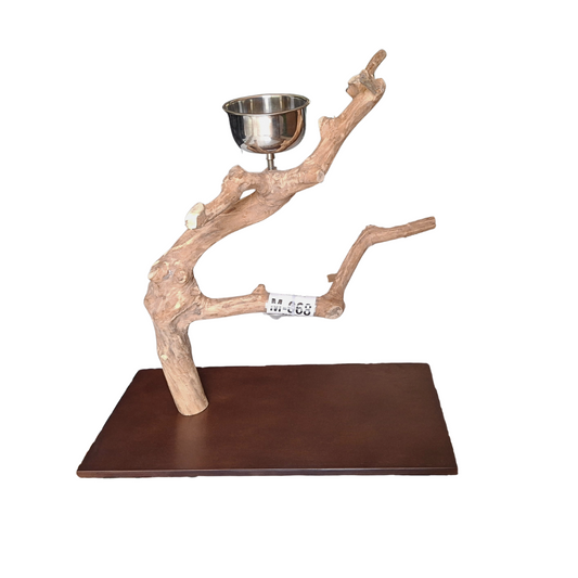 Java Tabletop Parrot Play Gym - 668