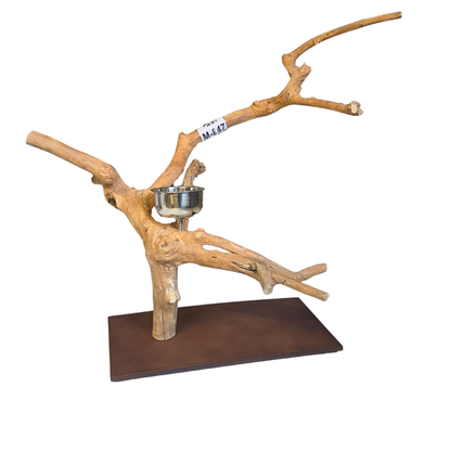 Java Tabletop Parrot Play Gym - 847