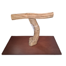 Java & Liana Parrot T Stand
