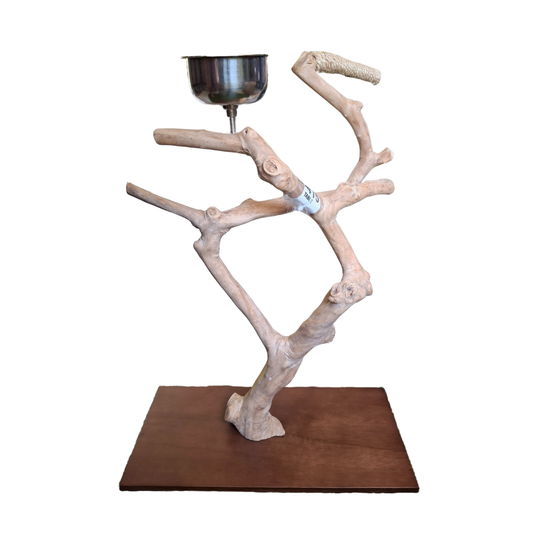 Java Tabletop Parrot Play Gym - 415