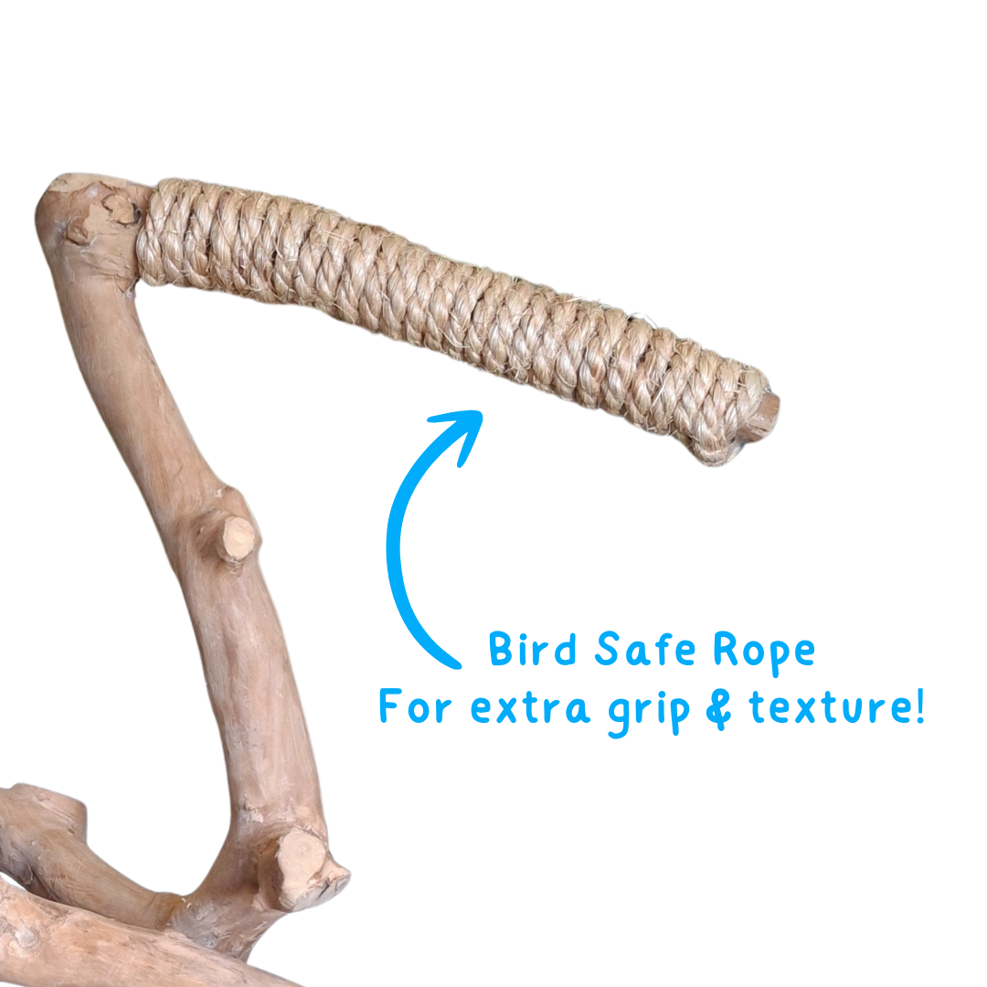 Java Tabletop Parrot Play Gym - 415