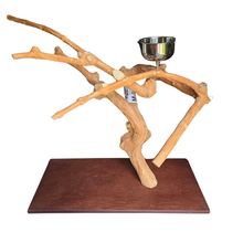Java Tabletop Parrot Play Gym - 815