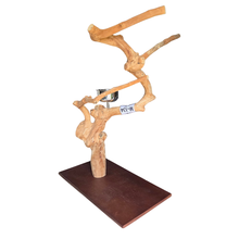 Java Tabletop Parrot Play Gym - 834