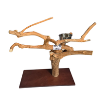 Java Tabletop Parrot Play Gym - 844