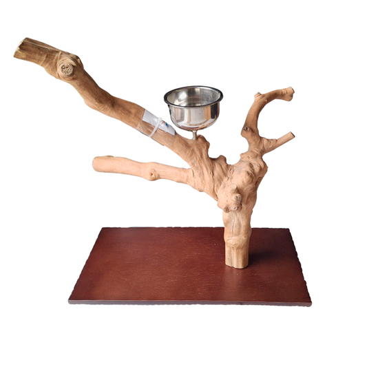 Java Tabletop Parrot Play Gym - 790