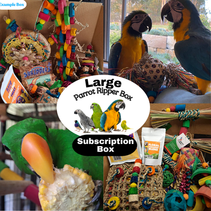 Large Parrot Ripper Subscription Box