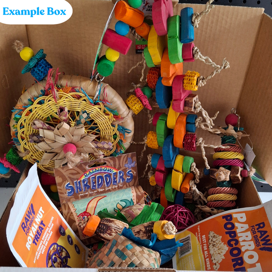 Large Parrot Ripper Box