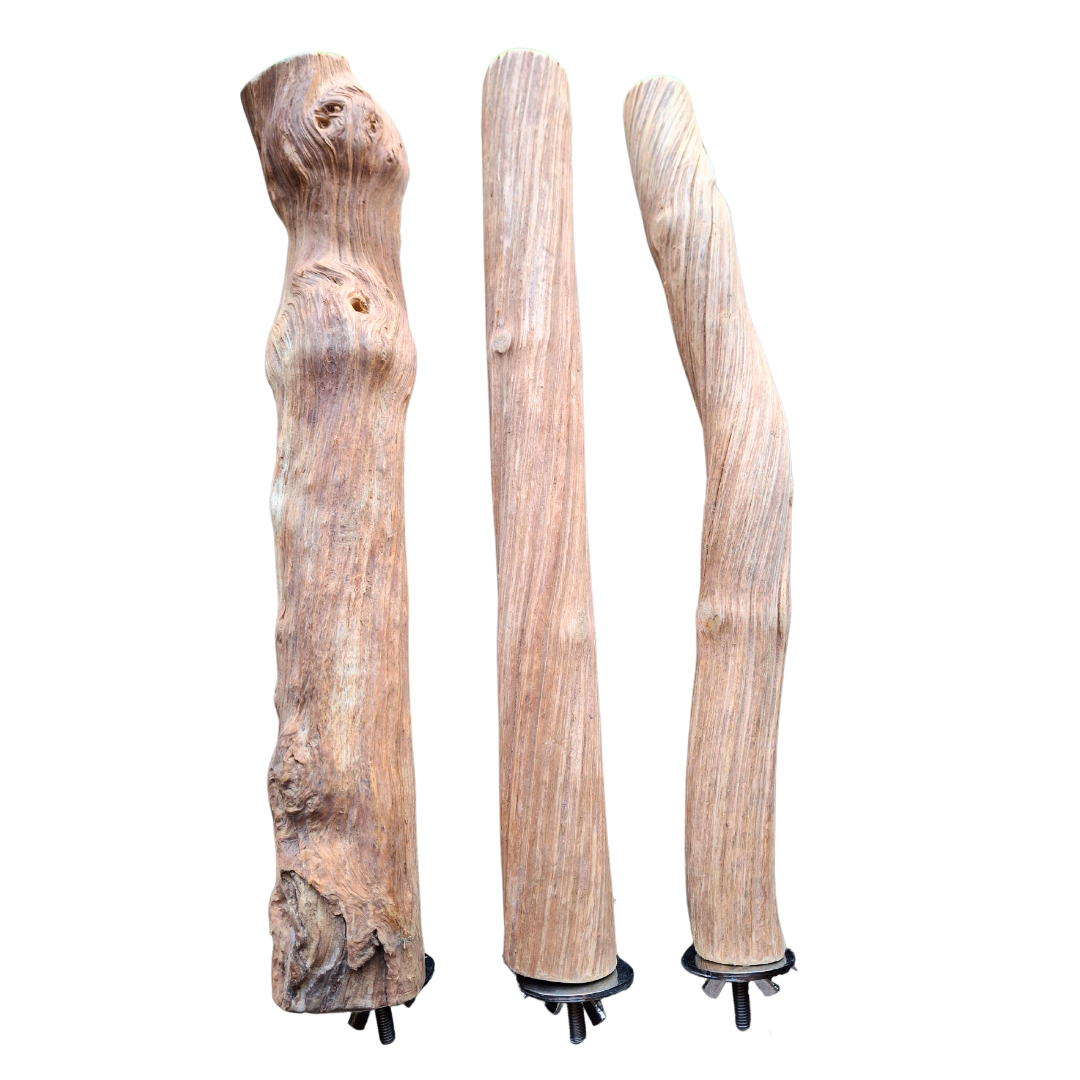 Pixie Perch Liana Wood Perches – Pixie Paws Pets