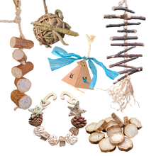 Little Nibblers Enrichment Variety Pack