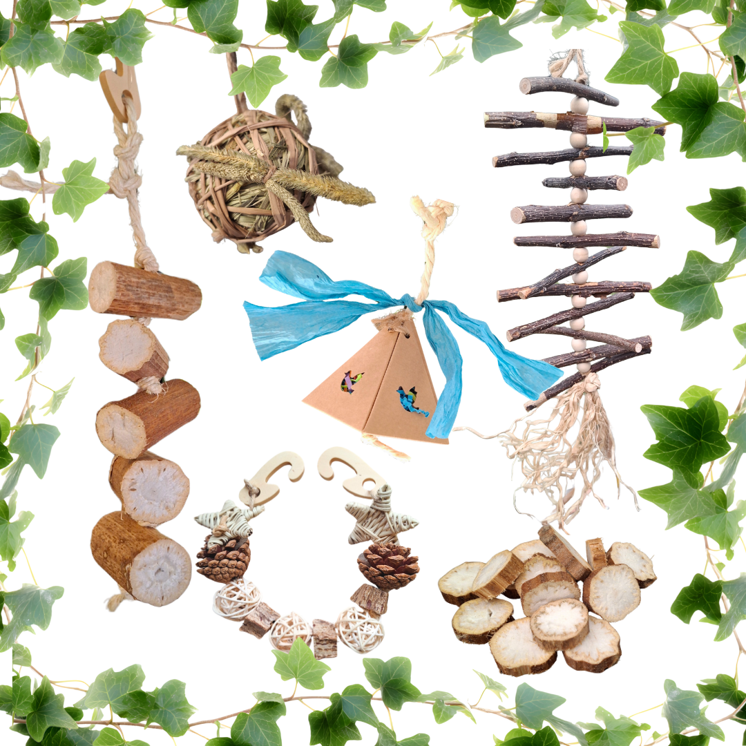 Little Nibblers Enrichment Variety Pack