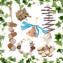 Little Nibblers Enrichment Variety Pack
