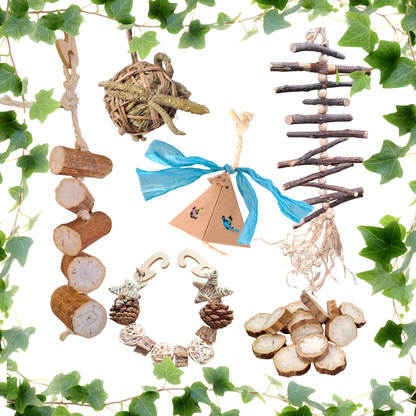 Little Nibblers Enrichment Variety Pack