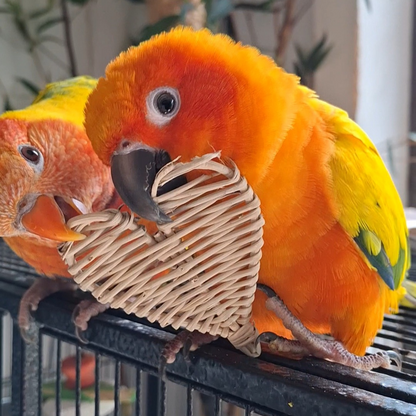 Vine Heart Foot Toys