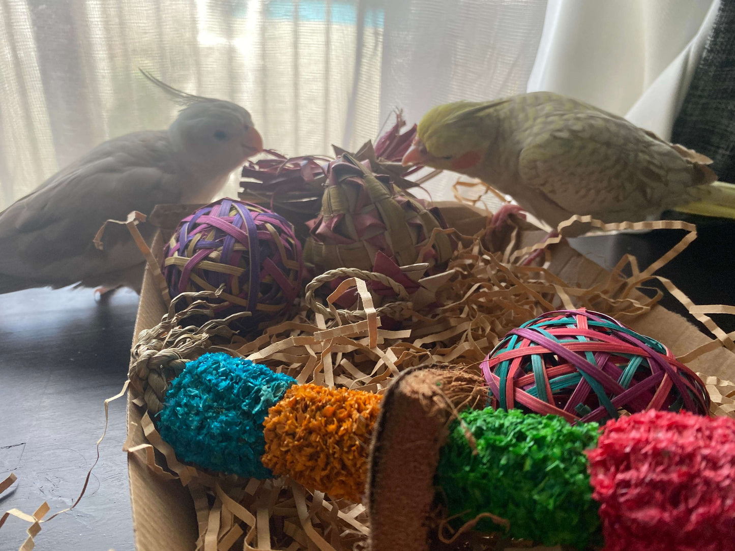 Small Parrot Ripper Subscription Box