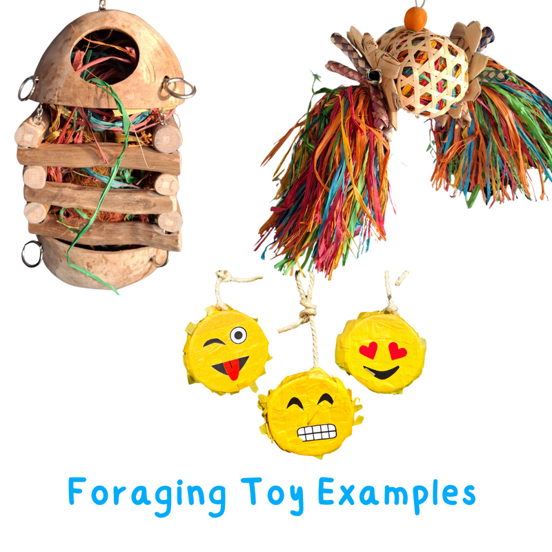 multicolumns-item-image-3
