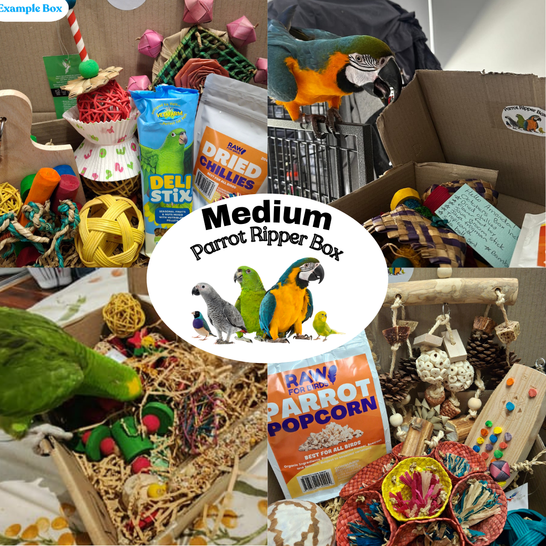 Medium Parrot Ripper Box