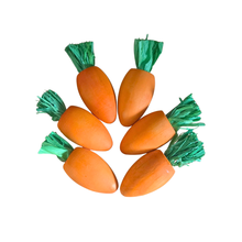 Mini Carrot Foot Toys & Refills 6pk