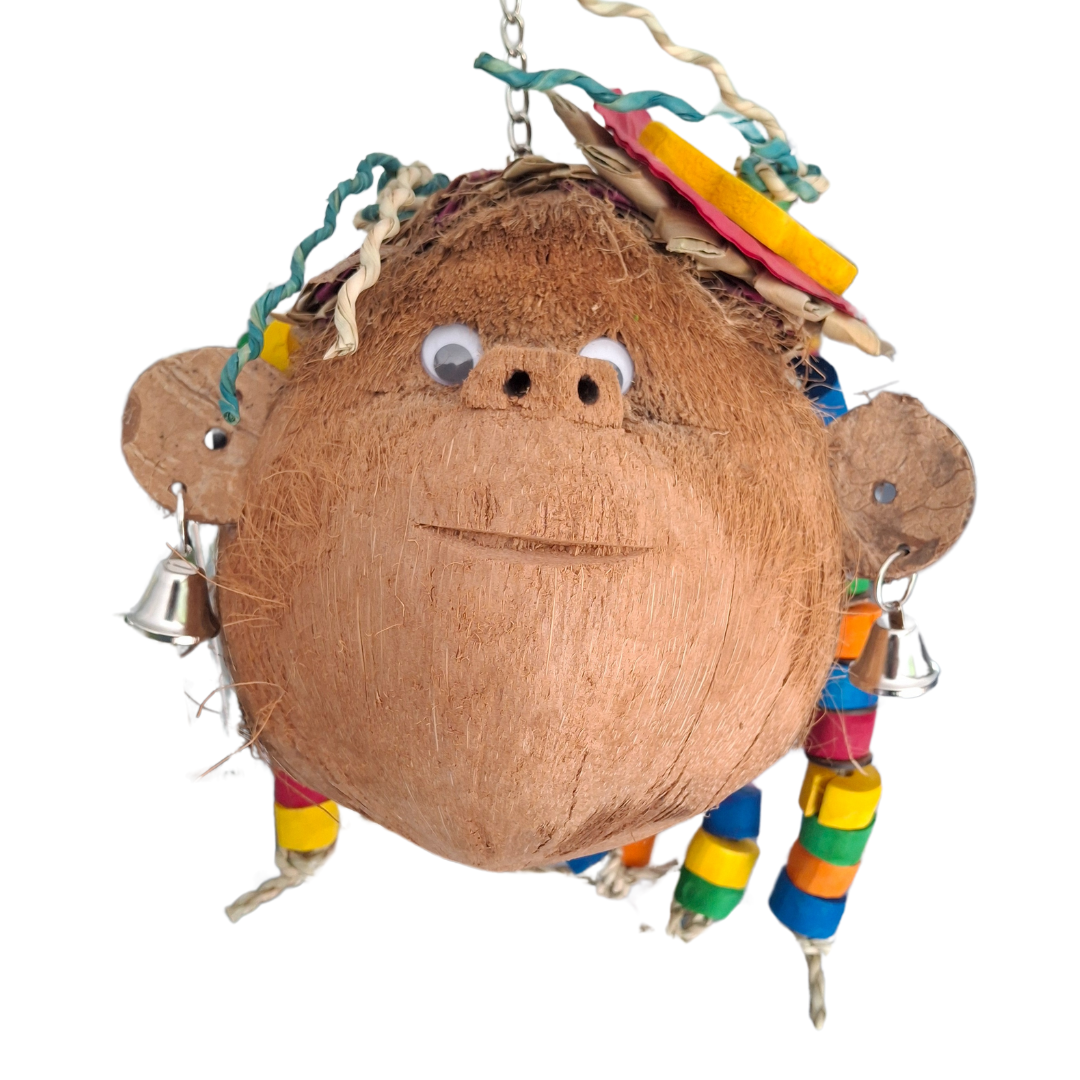 Miss Monkey