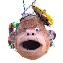 Miss Monkey