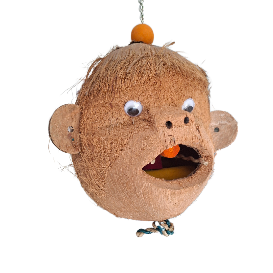 Mr Monkey