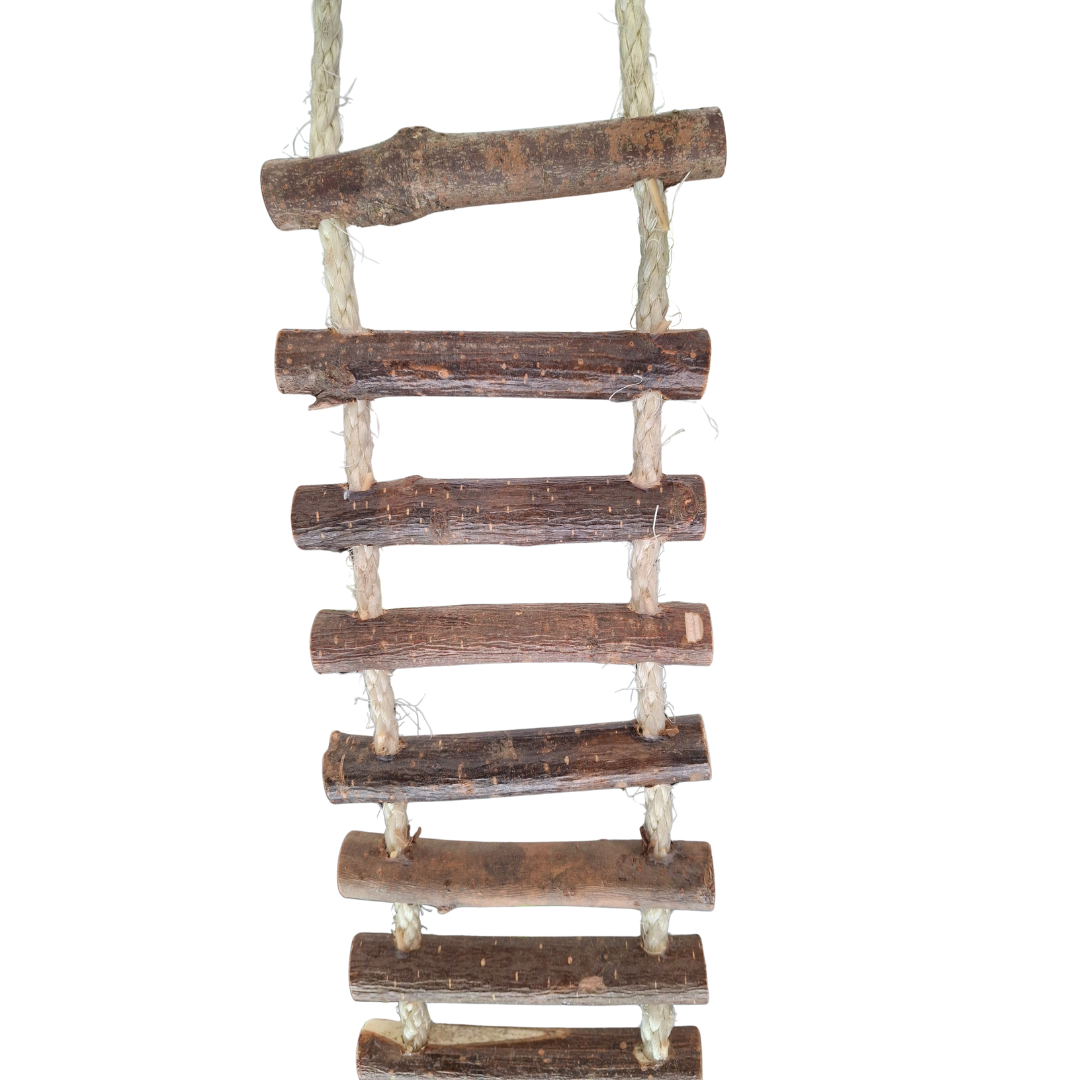 Sisal Rope Bridge