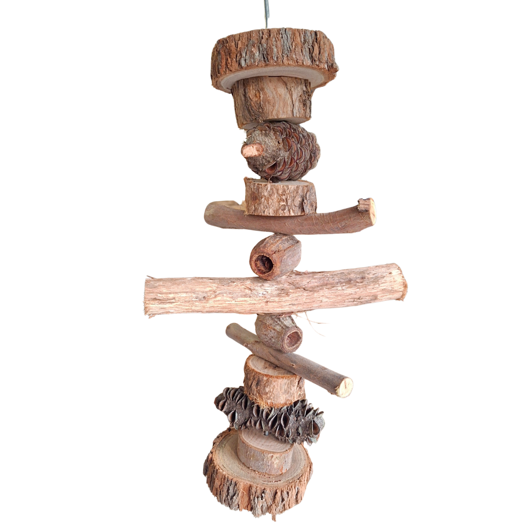 Natural Australia materials including chunky wood slices, gumnuts and banksia pods stacked on a skewer on a white background 
