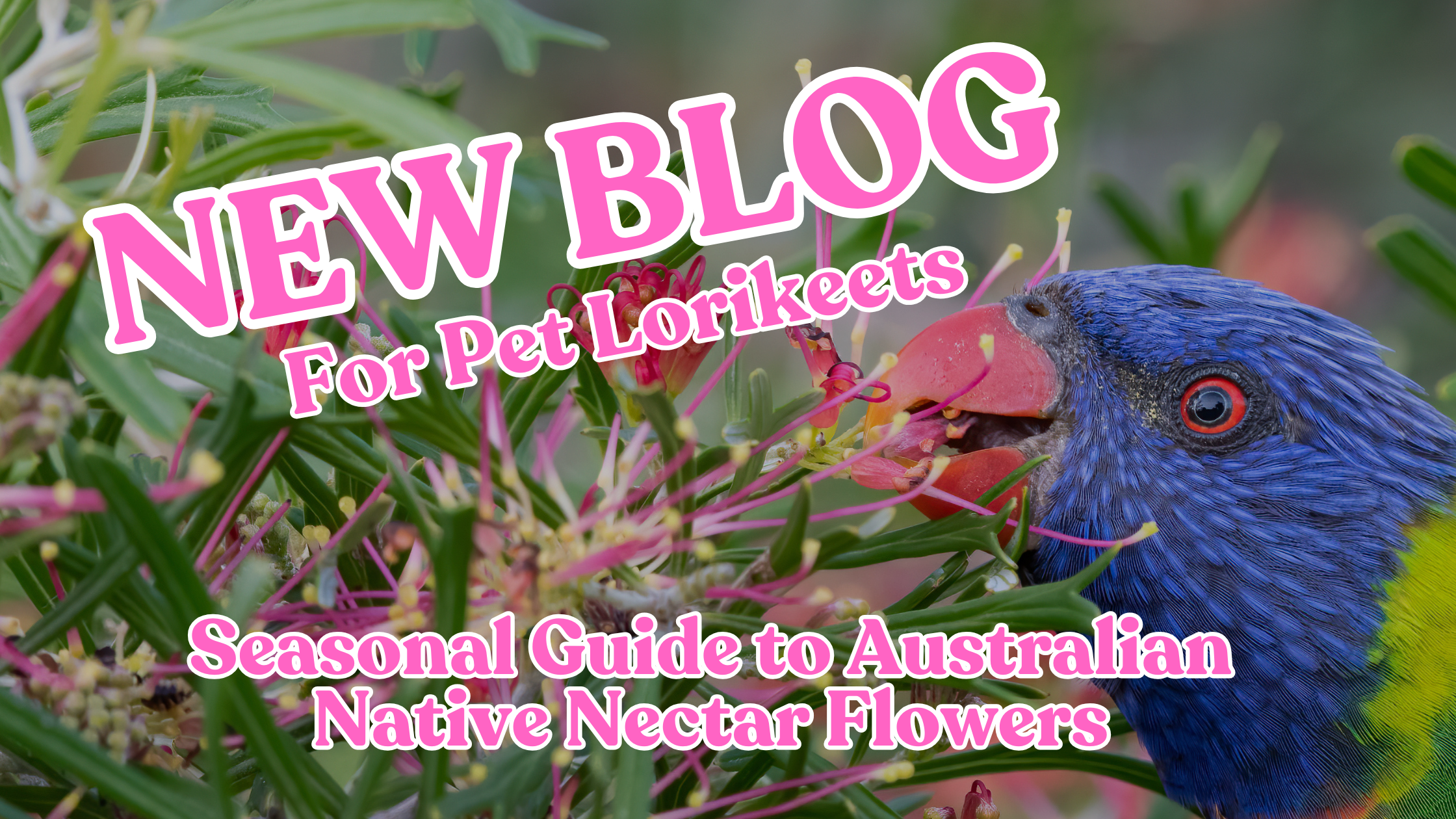 custom-slideshow-image-desktop-block_rwpjNp